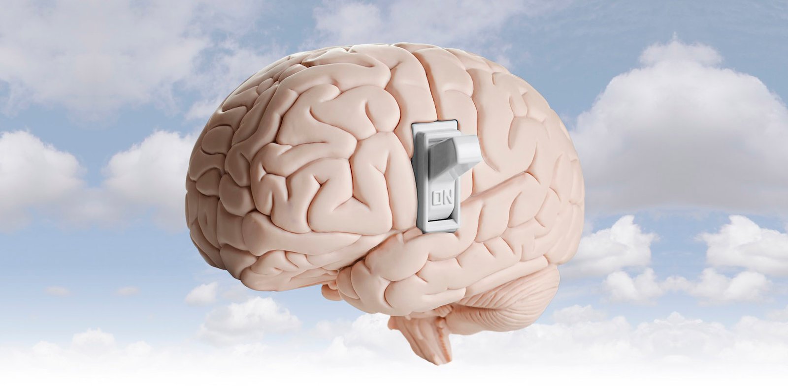 ¿Qué es la Conciencia Humana?