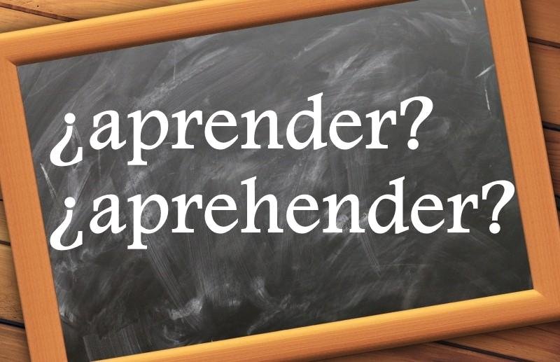 aprehender