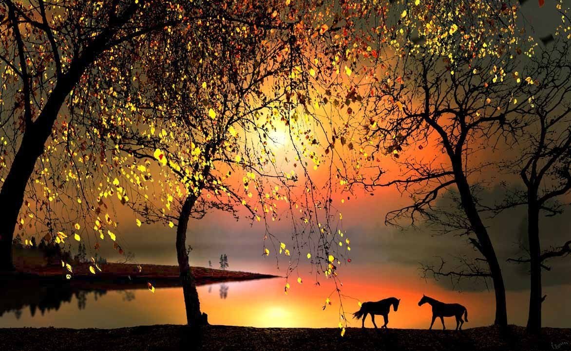 belleza