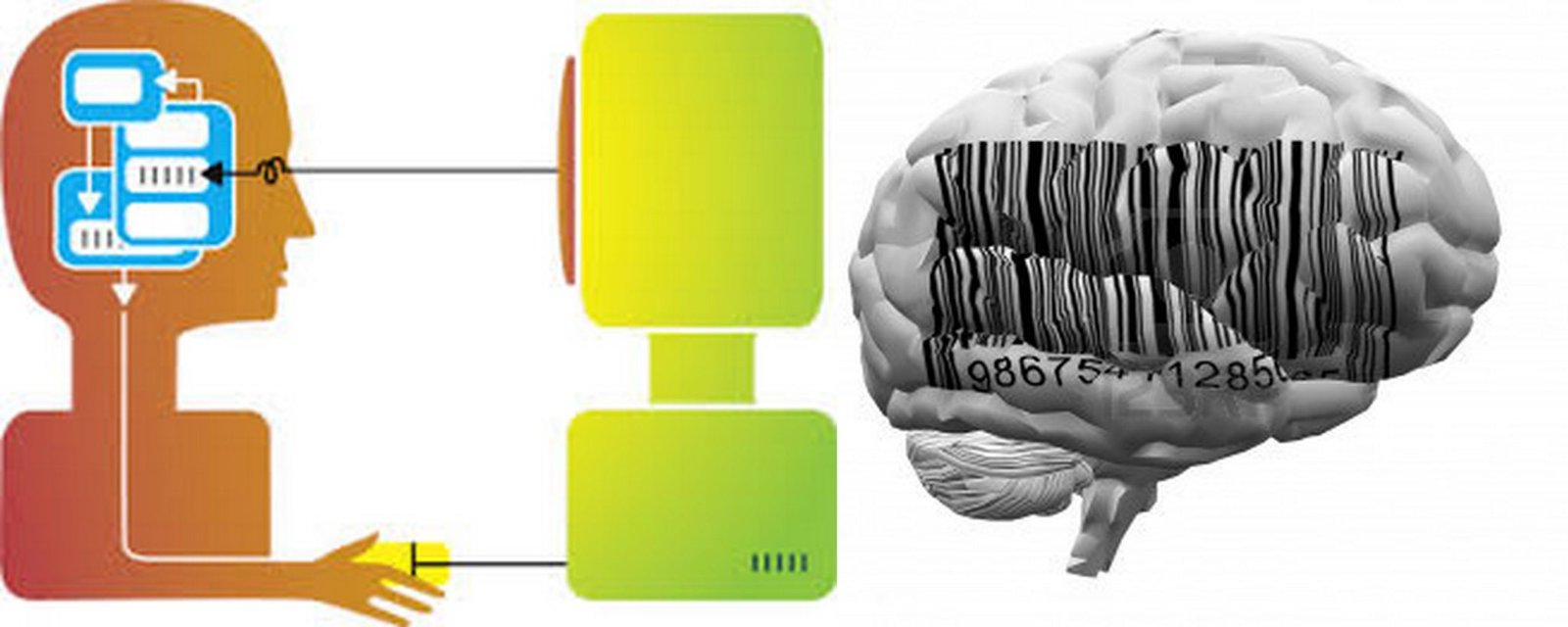 ¿Cómo se Forma el Modelo Mental?