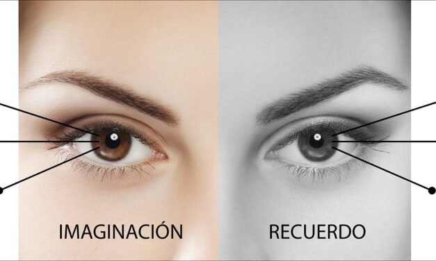 formas de representación