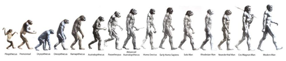 Homo Sapiens