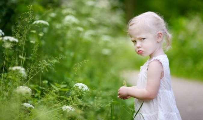 La Ira y el Elemento Madera
