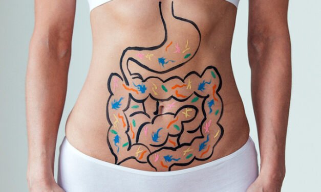 ¿Qué entendemos por Reposo Digestivo?