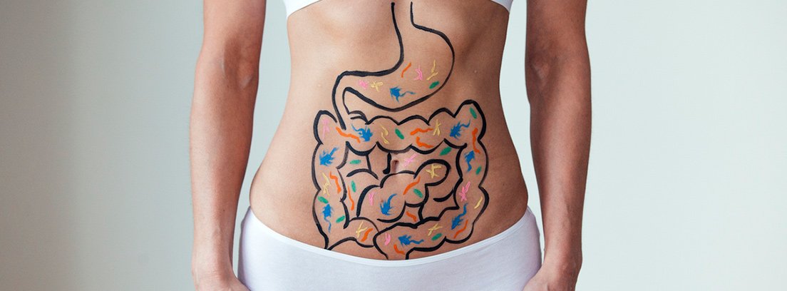 ¿Qué entendemos por Reposo Digestivo?