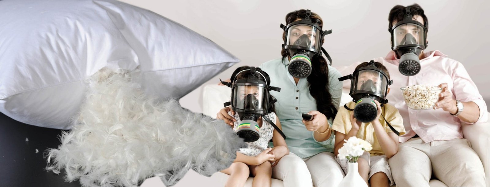 Alergia a las Plumas