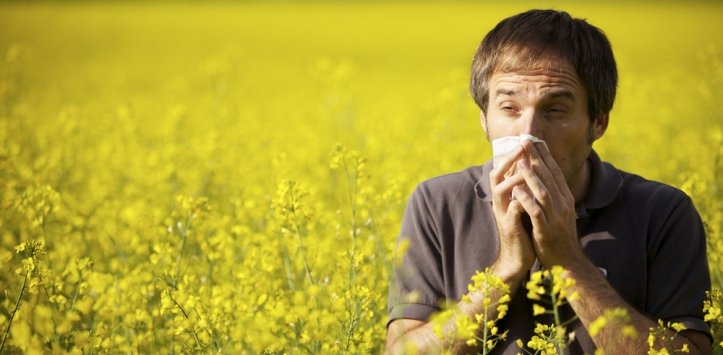 Alergia. Resfriado, Riñitis Alérgica