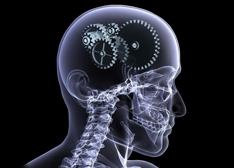 Priorizando por uno mismo o por otros –  Metaprogramas – Patrones mentales
