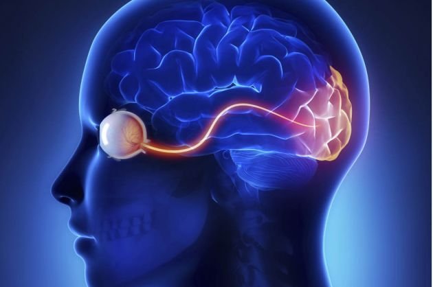 Ej de Calibración: Agudeza Sensorial