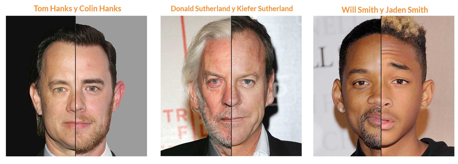 Lenguaje: Hechos Vs Interpretaciones