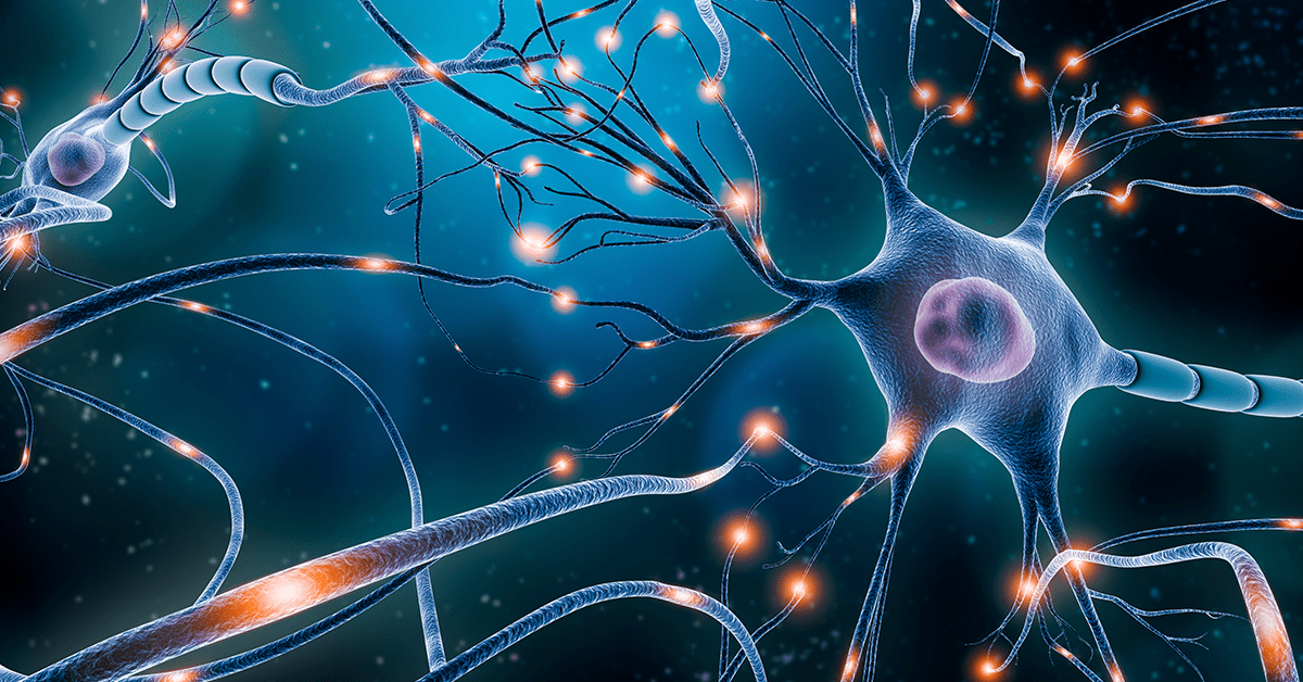 Miastenia, Miopatía, Miositis