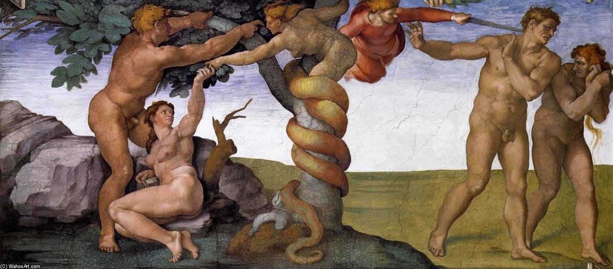 ¿Cómo Observamos los Seres Humanos?