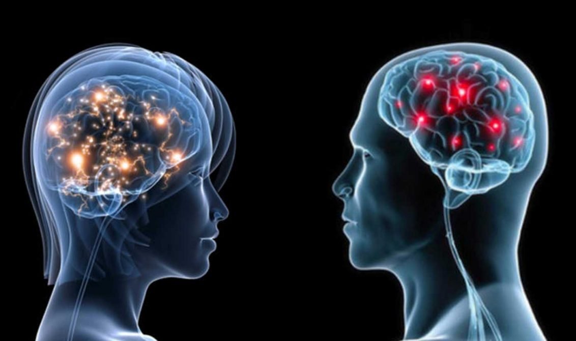 Neurociencia Afectiva