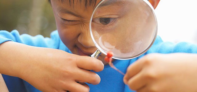 De Vuelta al Observador