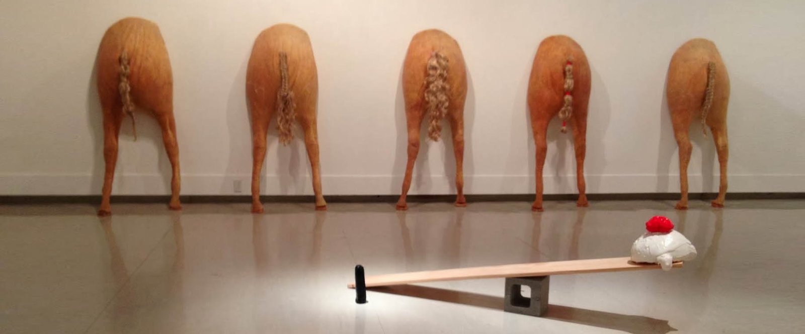 ¿Qué piensa usted de la Zoofilia?