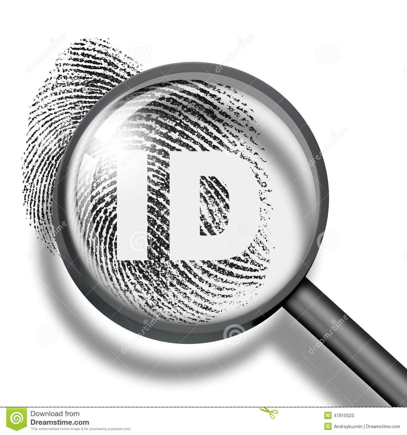Identificacion proyectiva