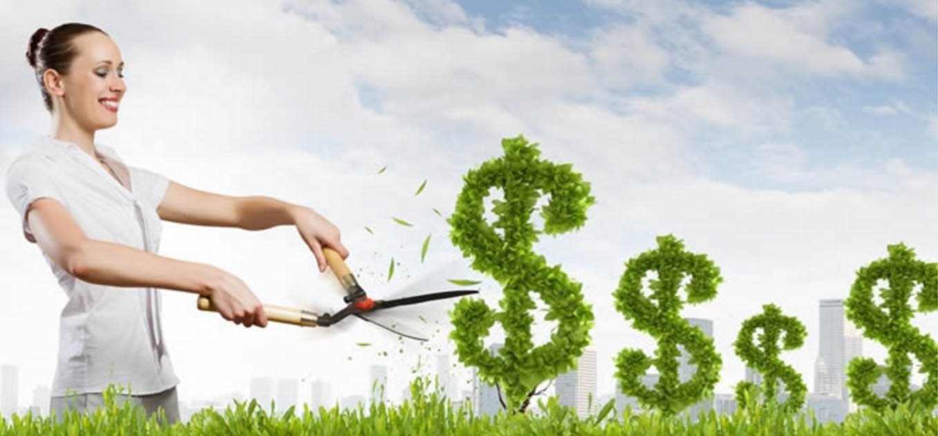 ¿Táctica Versus Estrategia?