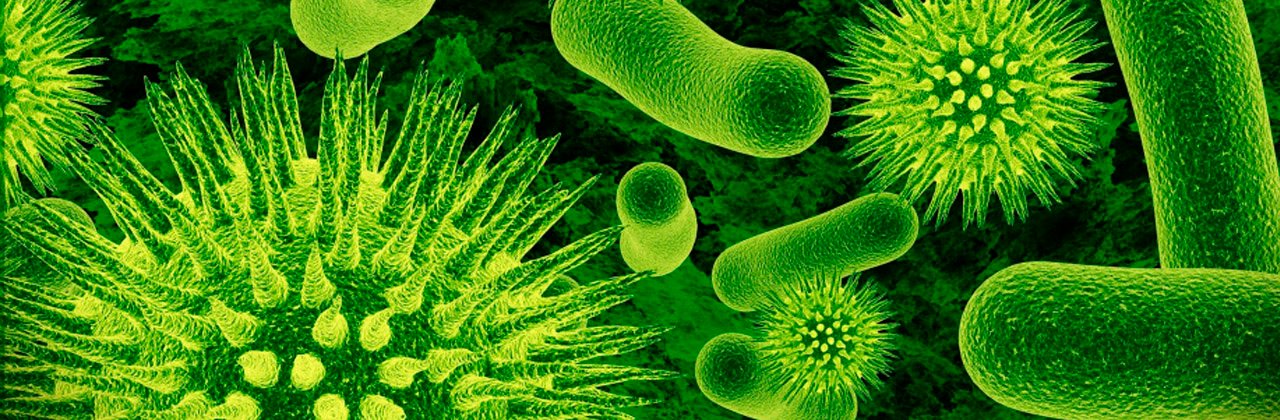 ¿Cuál es el sentido biológico del Covid?