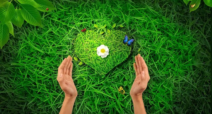 naturaleza