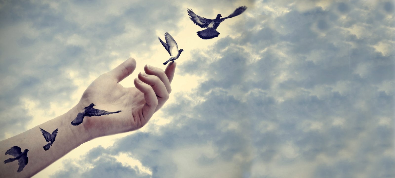 Transitando el Desapego