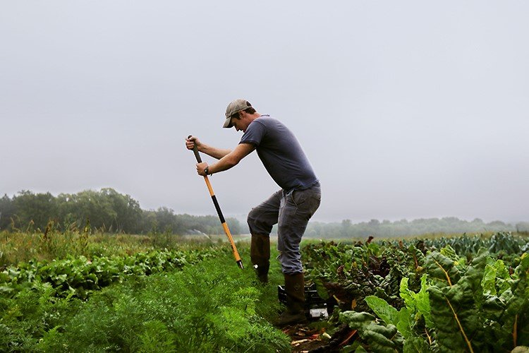 El Emprendedor de Tierra