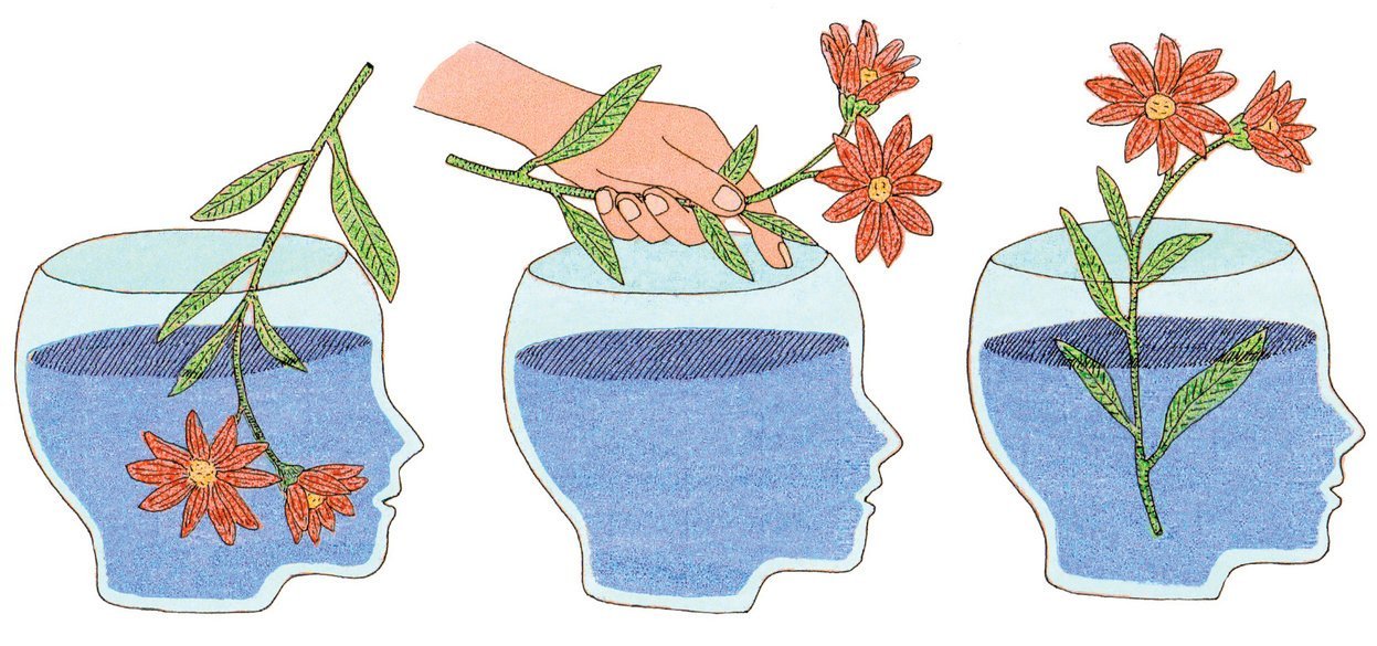 ¿Eres inteligente o racional?