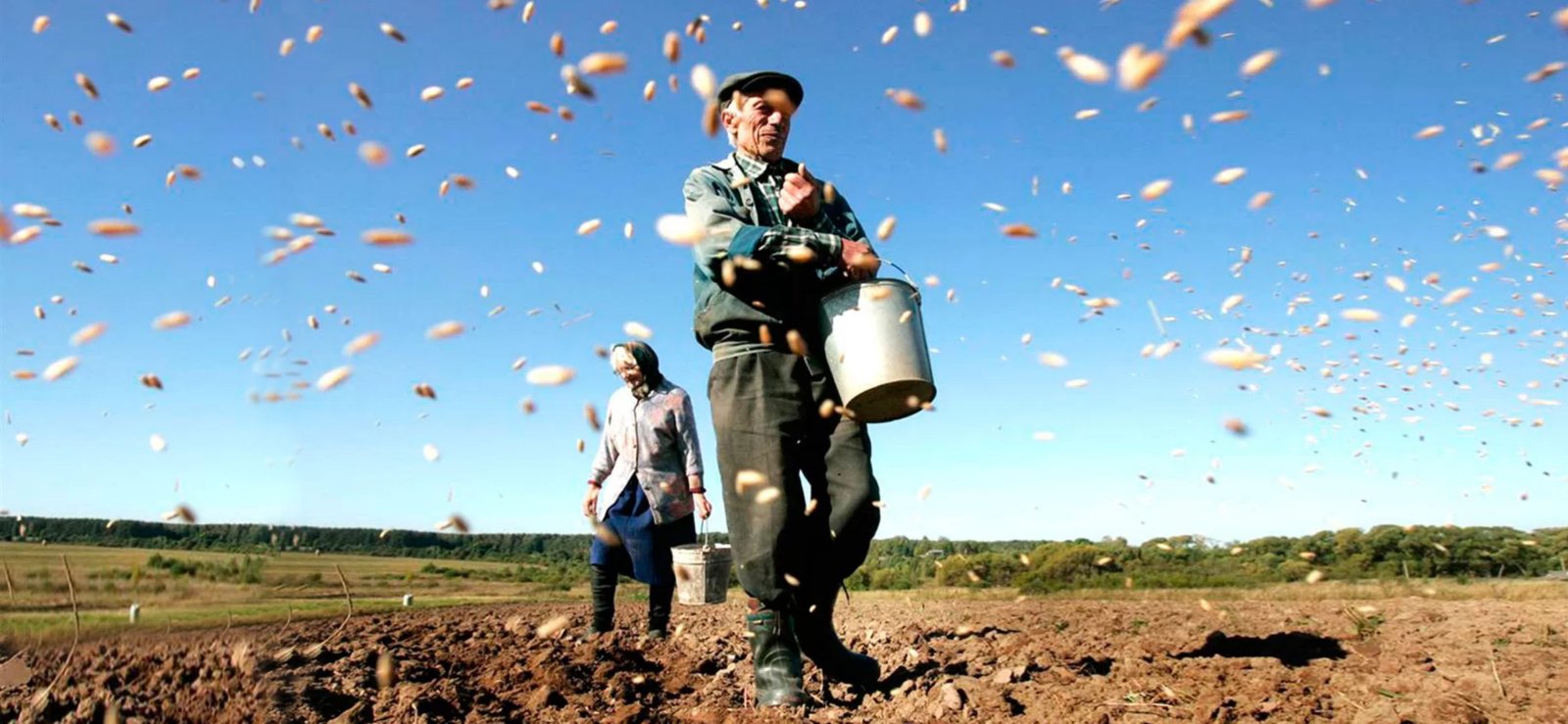 La ley de la siembra y la cosecha