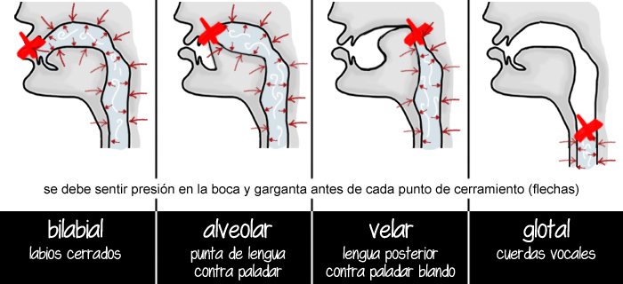 glotal