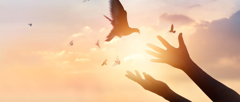 ¿Cómo aceptar la muerte?