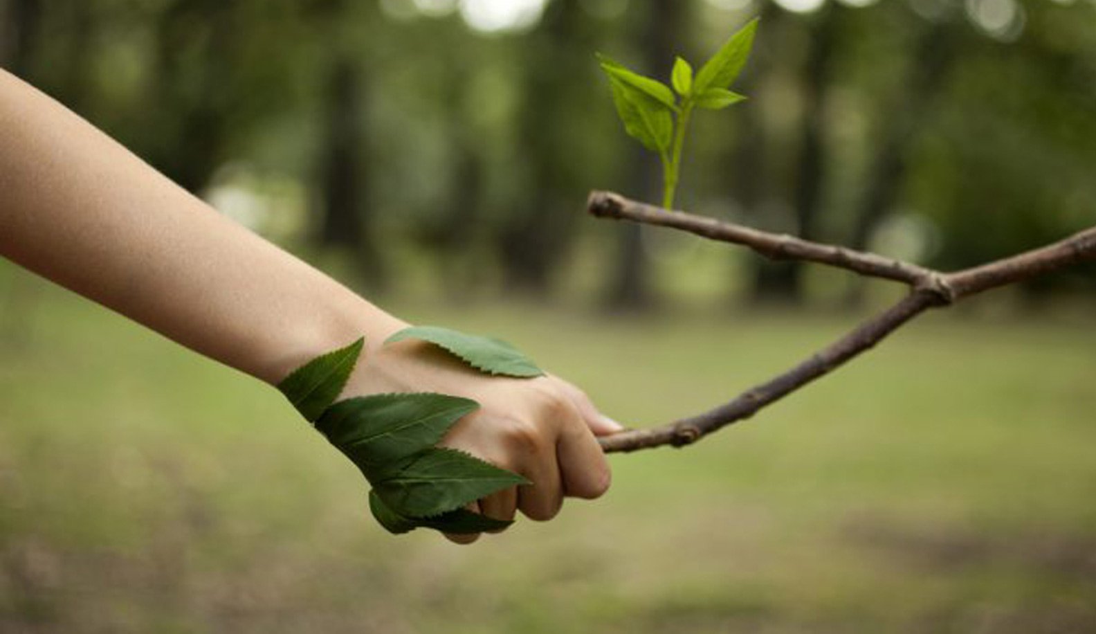 Cuando tengas un conflicto, no se lo des al ego…