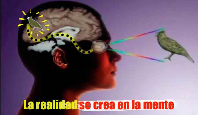 realidad