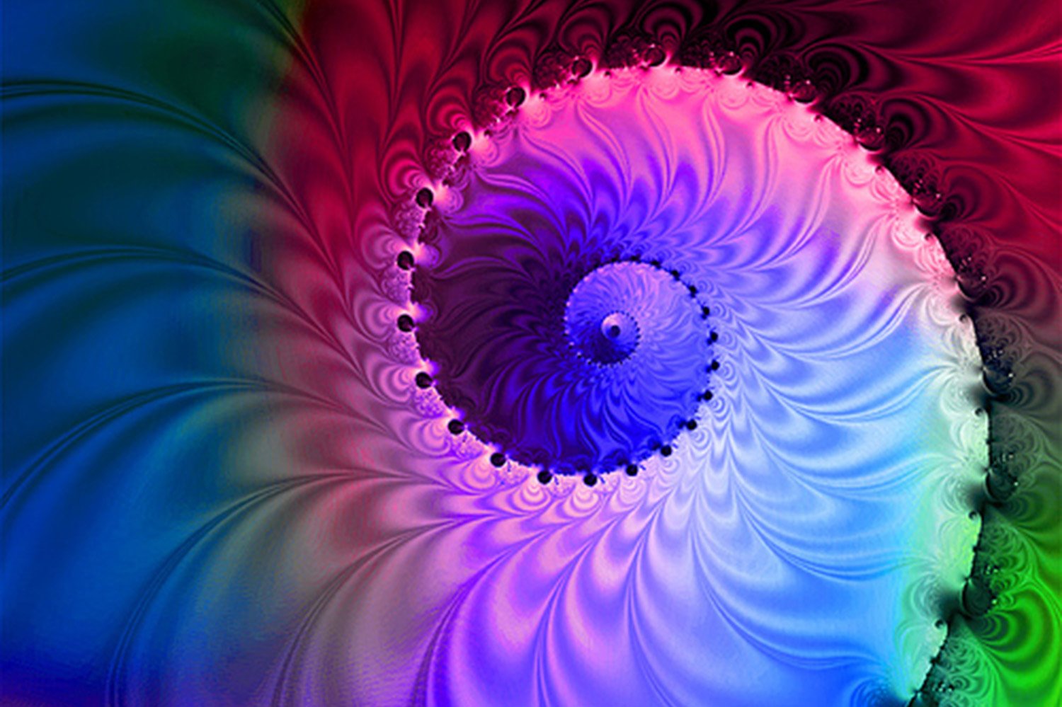 El Enfoque Evolutivo