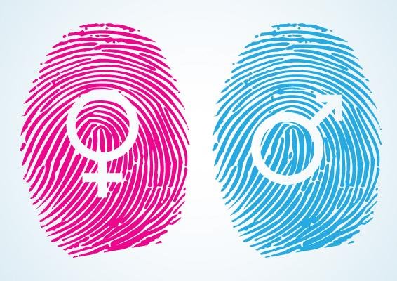 Identidad de Género