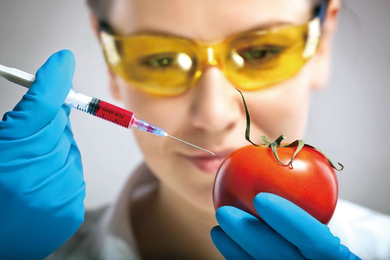 Octubre 16: Día Mundial de la Alimentación