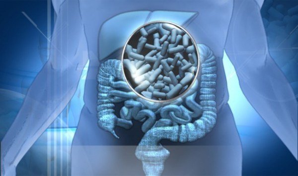 Alimentos Probióticos