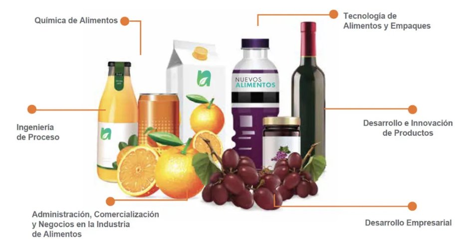 Programa de la Carrera – Setiembre 2023