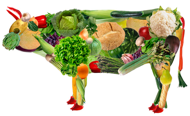 20 consejos antes de hacerte vegetariano