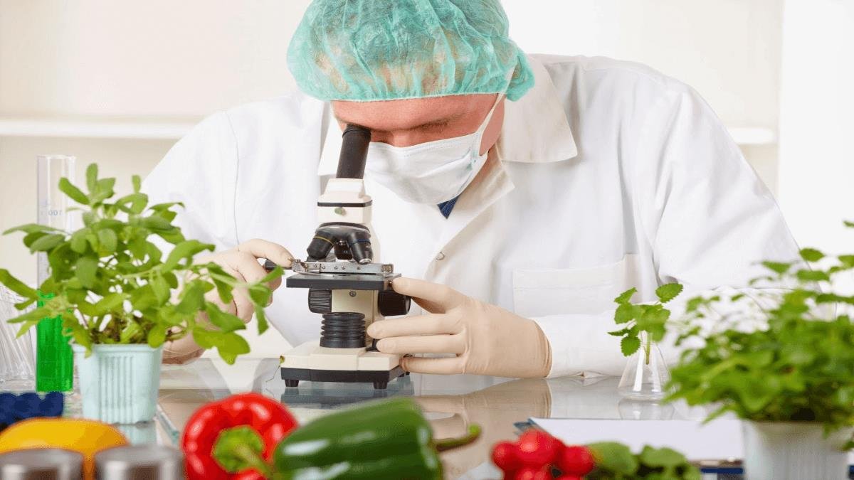 Nuevos Entusiastas de La Comida