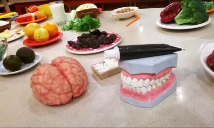 Órganos y alimentos hermanos