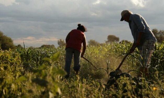 30.000 kilos de alimentos a precio productor