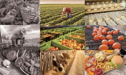 Tendencias en Alimentación por Décadas