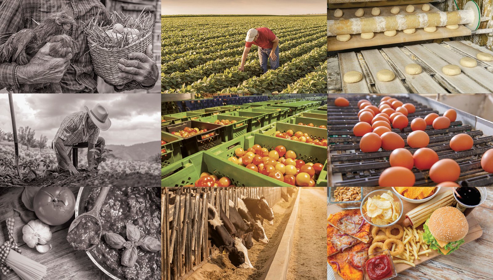 Tendencias en Alimentación por Décadas - Fundación Sonría
