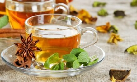 100 tipos de Infusiones