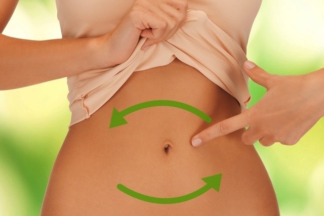 ¿Qué son los Probióticos?