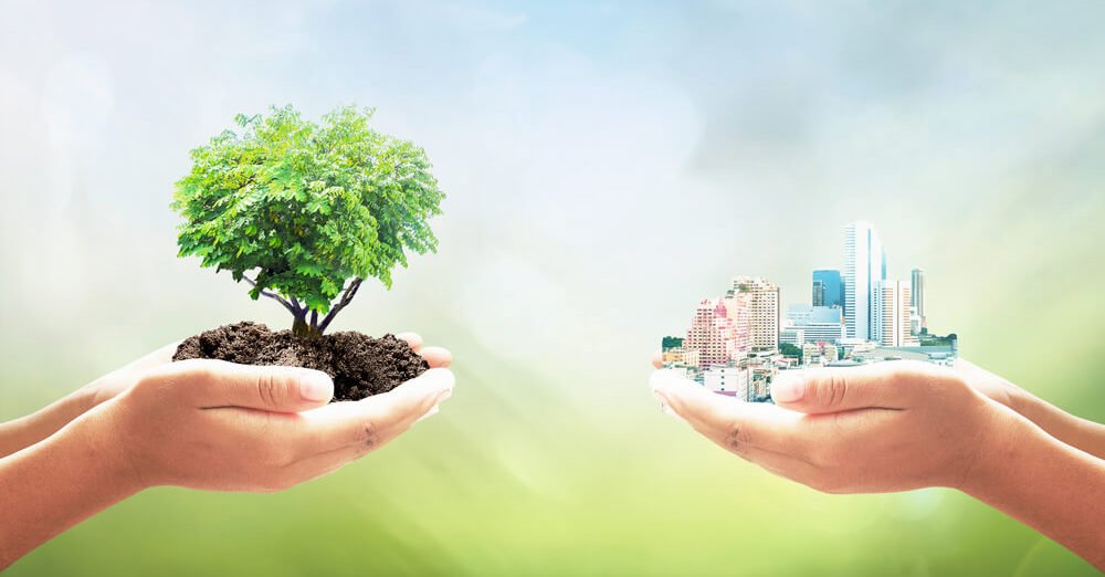 Creación de Sentido