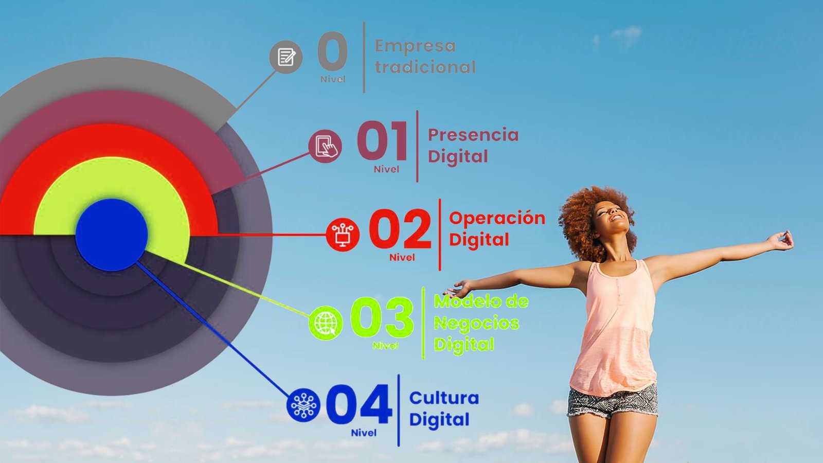 Niveles de Digitalización