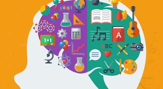 ¿Cómo Acelerar el Aprendizaje?