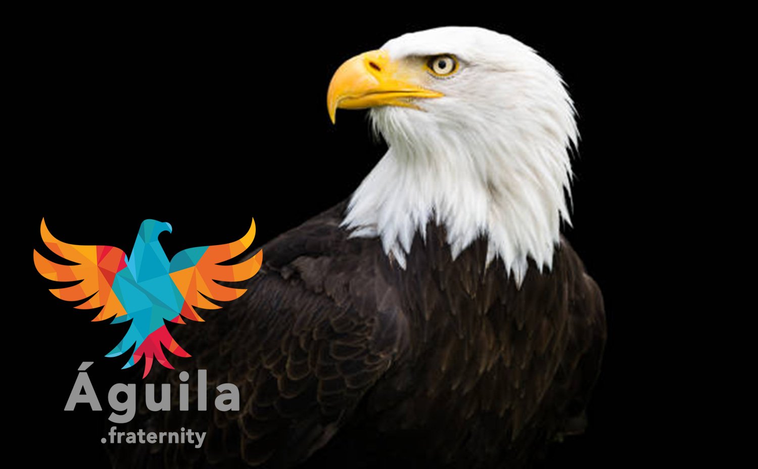 Fraternidad del Aguila - Fundación Sonría