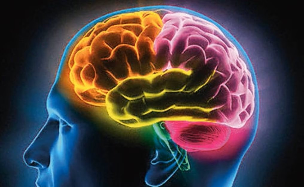 Los Tres Momentos en la Metacognición