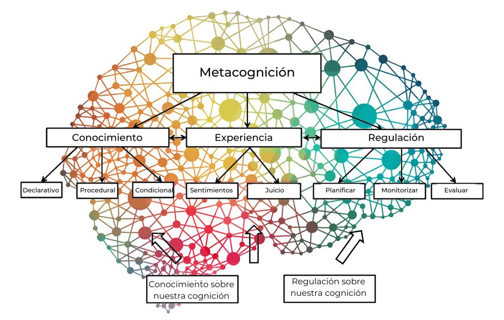 Aumentando tu Metacognición